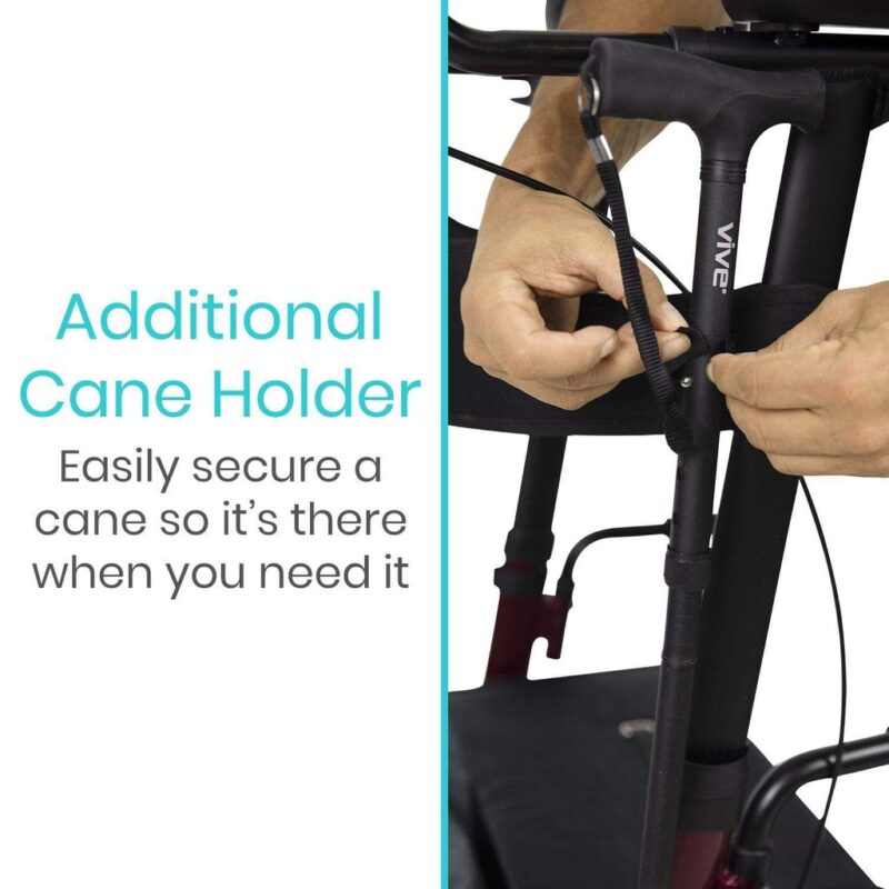 Upright Walker - Image 4