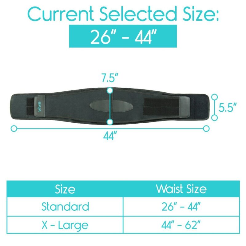 Back Brace - Image 6